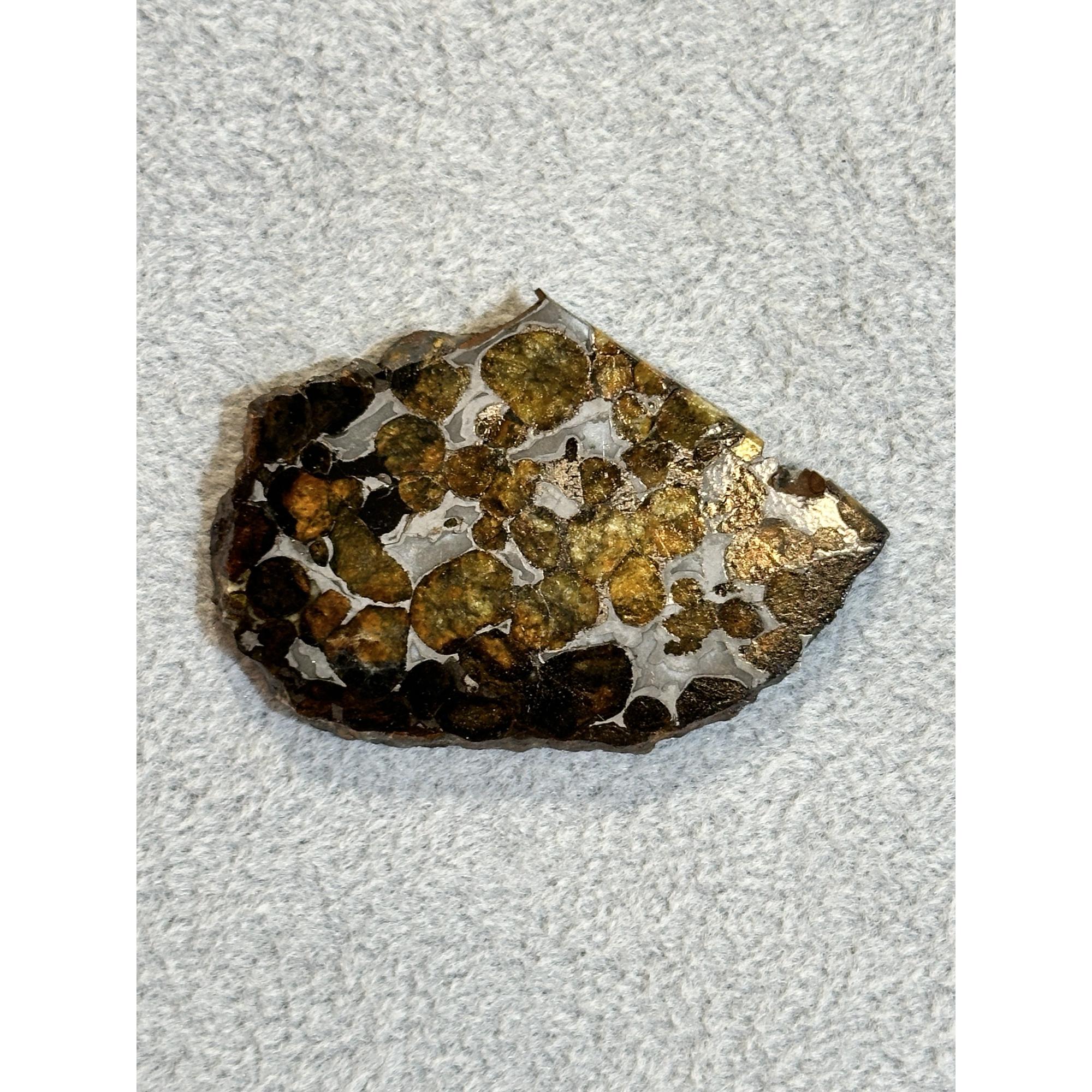 Meteorite, Sericho, 20.4g Prehistoric Online