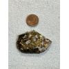 Meteorite, Sericho, 20.4g Prehistoric Online