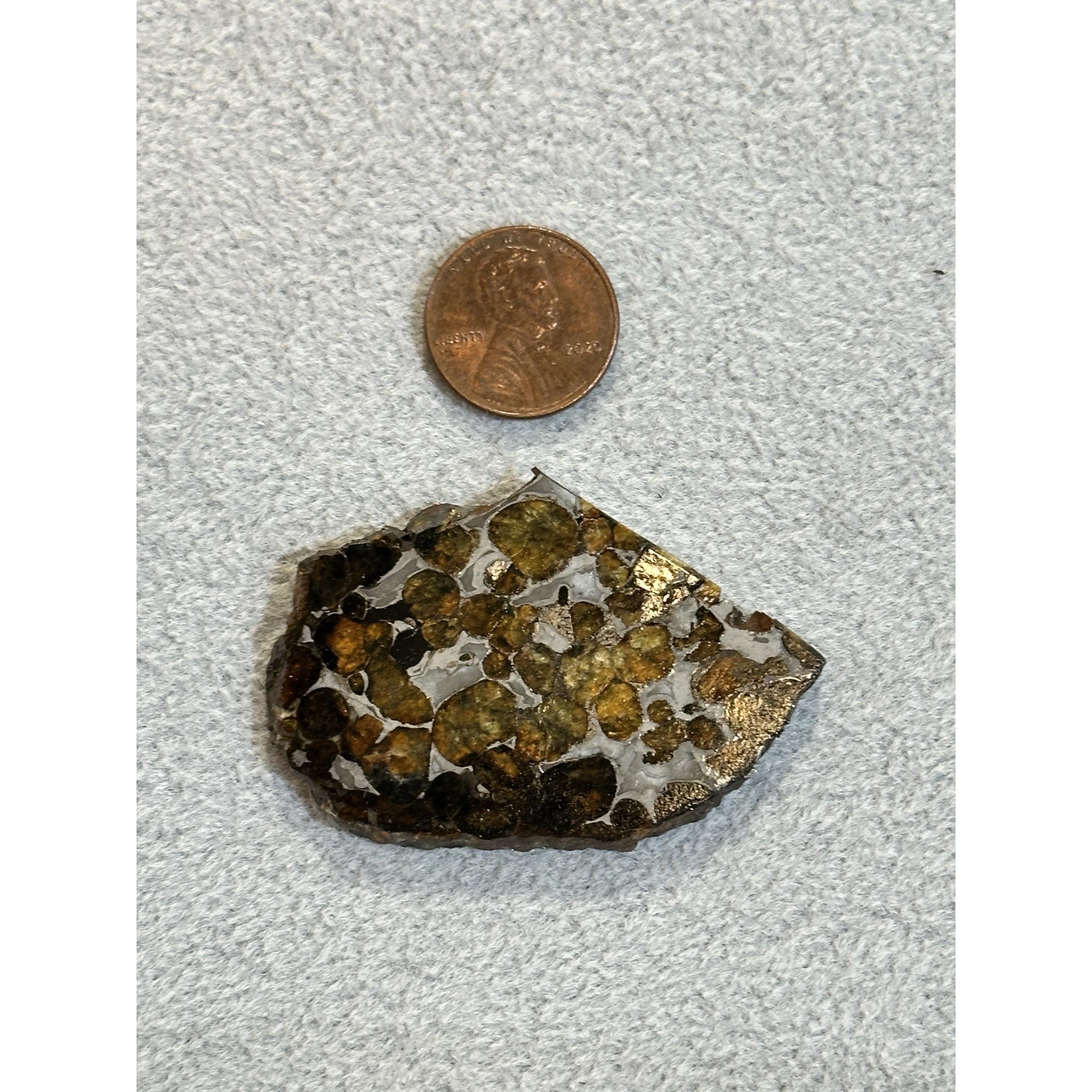 Meteorite, Sericho, 20.4g Prehistoric Online