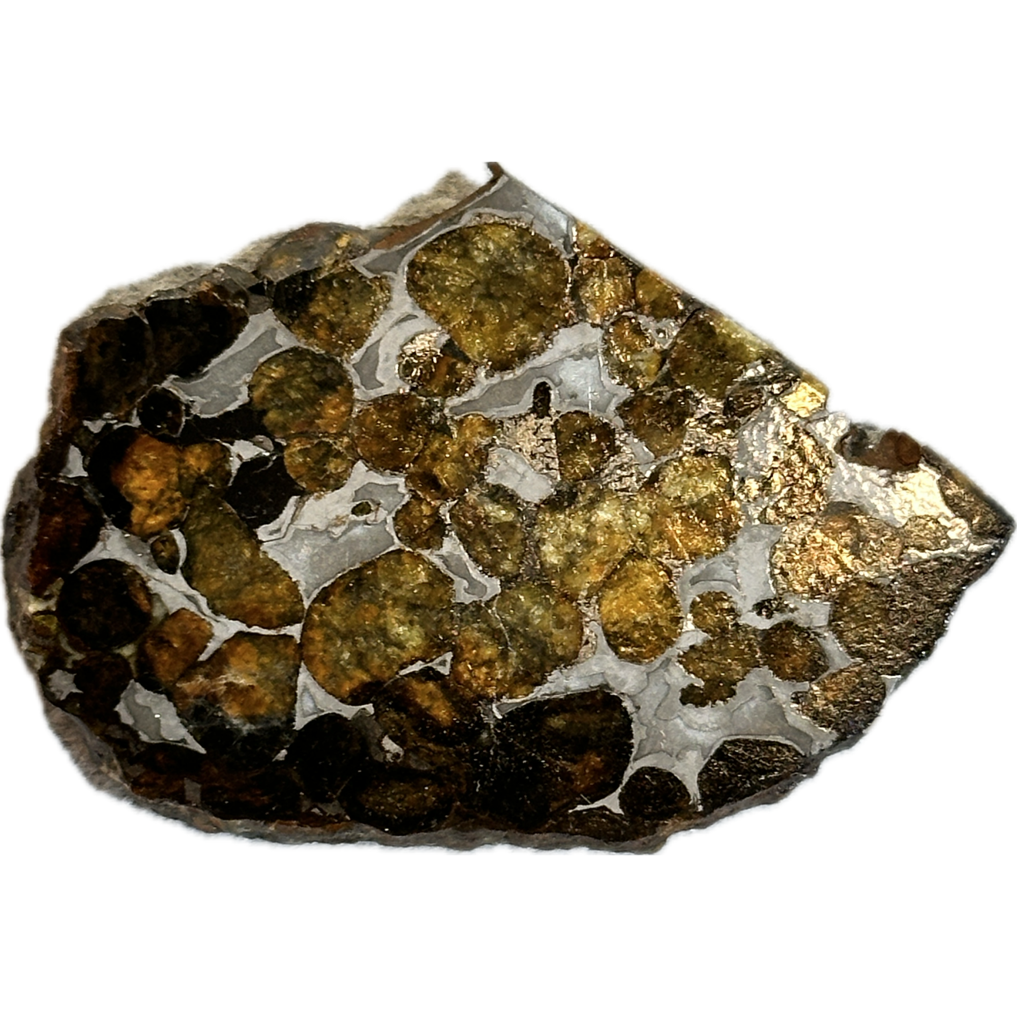 Meteorite, Sericho, 20.4g Prehistoric Online