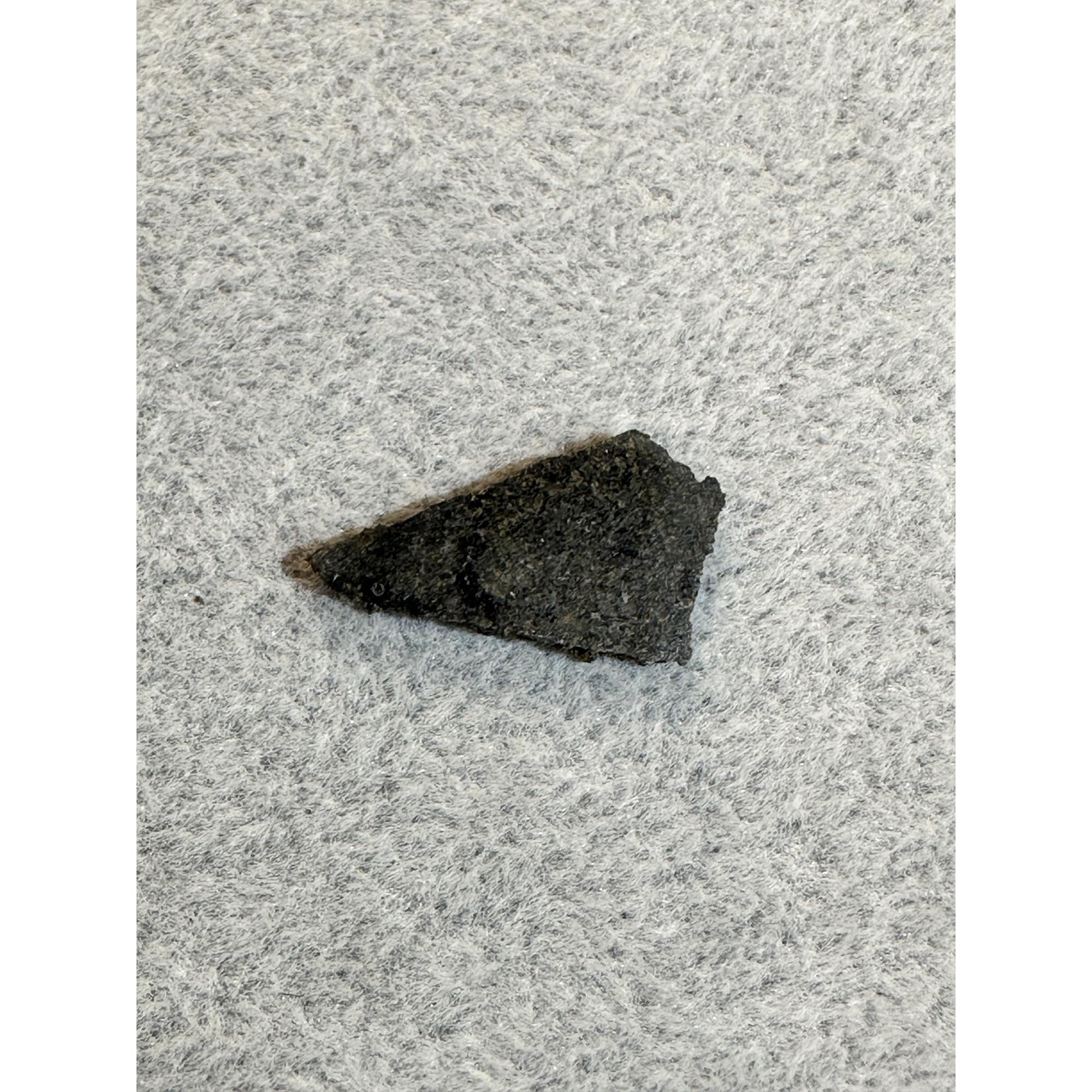 Martian Meteorite, NWA 16450 Prehistoric Online