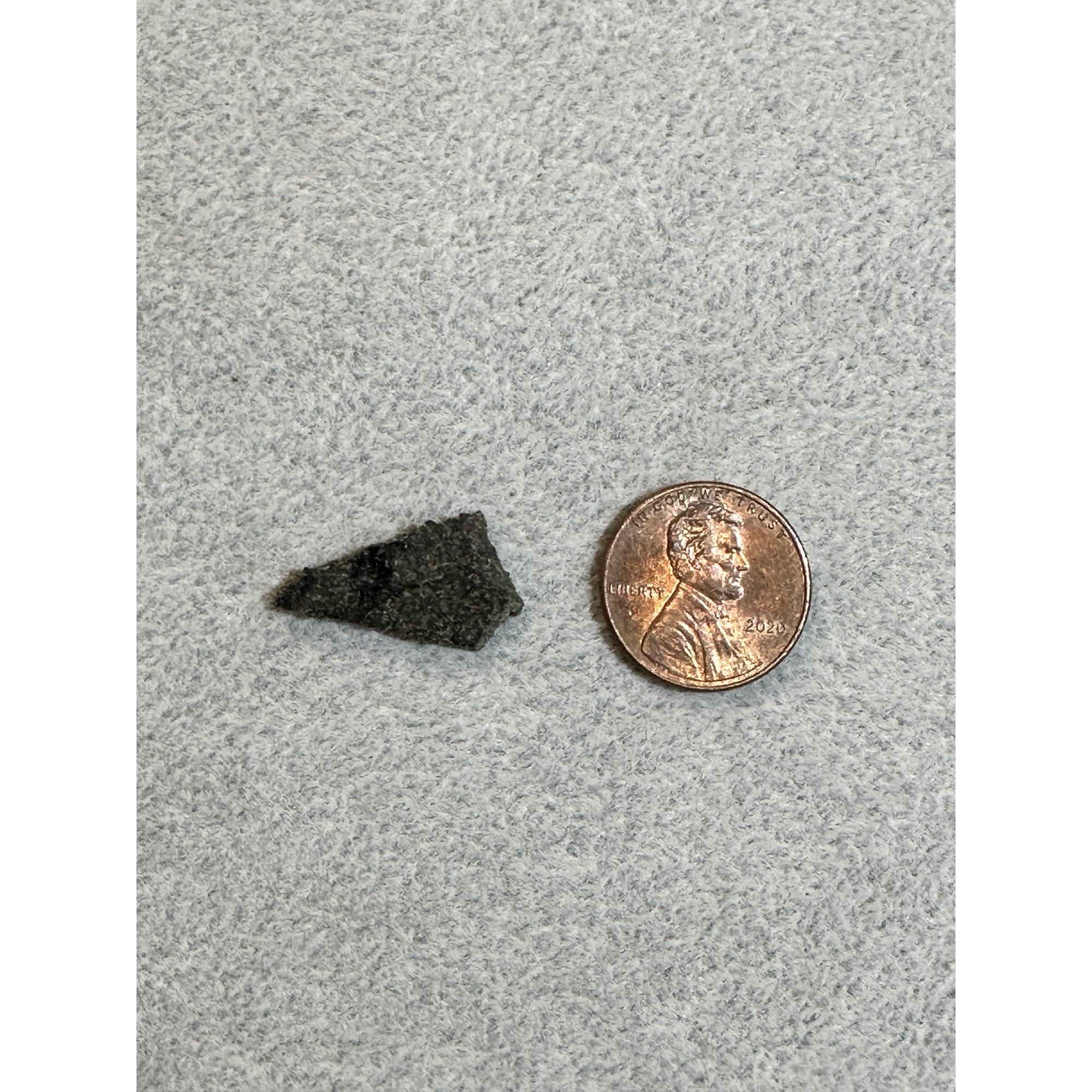 Martian Meteorite, NWA 16450 Prehistoric Online