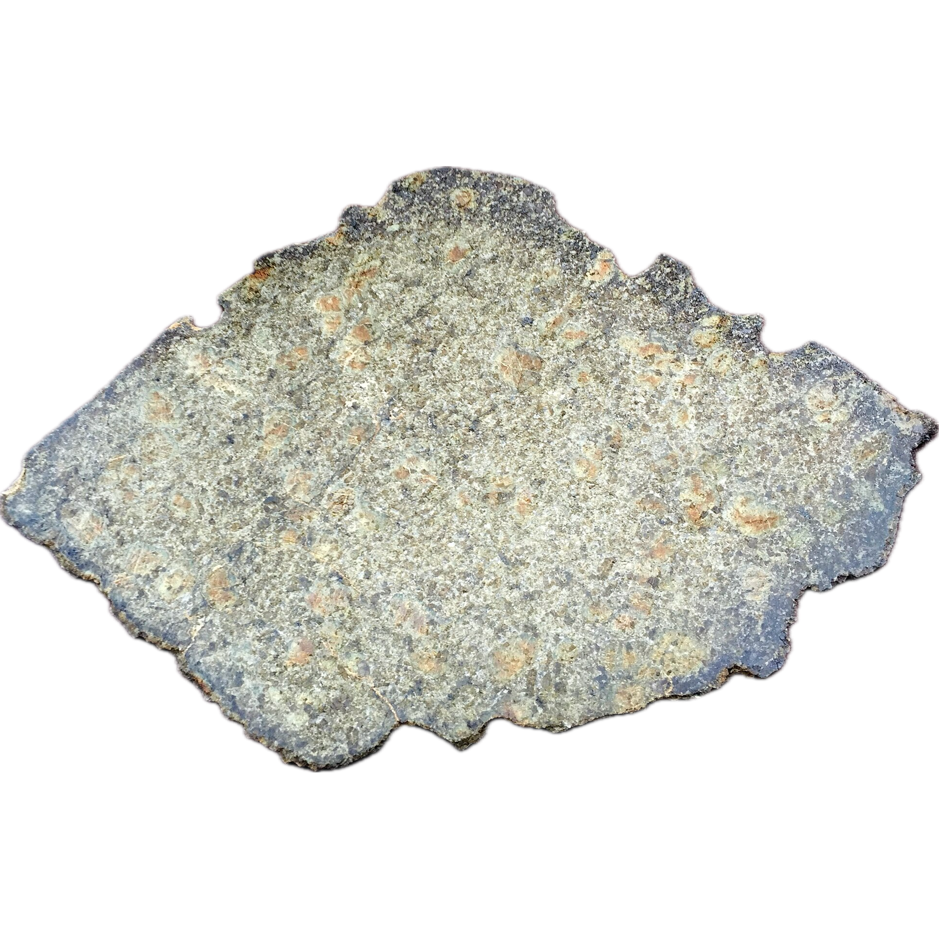 NWA (14016): A Rare Meteorite from Asteroid Vesta