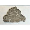 NWA 14016 meteorite slice, Eucrite Prehistoric Online