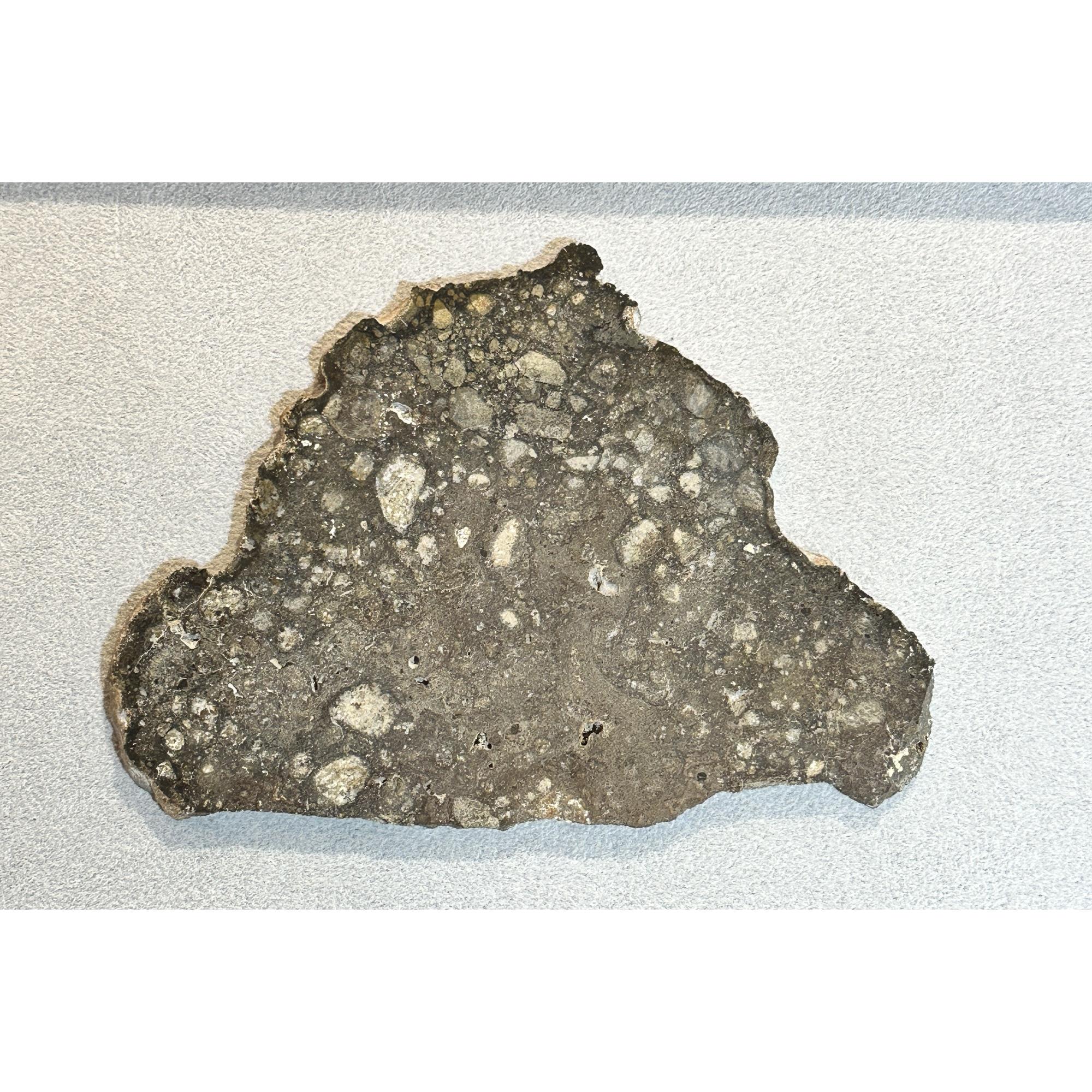 NWA 14016 meteorite slice, Eucrite Prehistoric Online