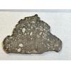 NWA 14016 meteorite slice, Eucrite Prehistoric Online