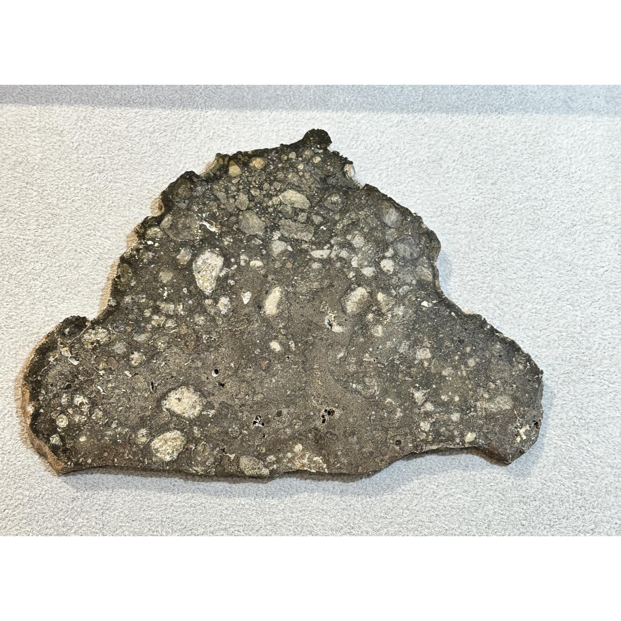 NWA 14016 meteorite slice, Eucrite Prehistoric Online