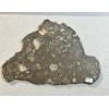 NWA 14016 meteorite slice, Eucrite Prehistoric Online