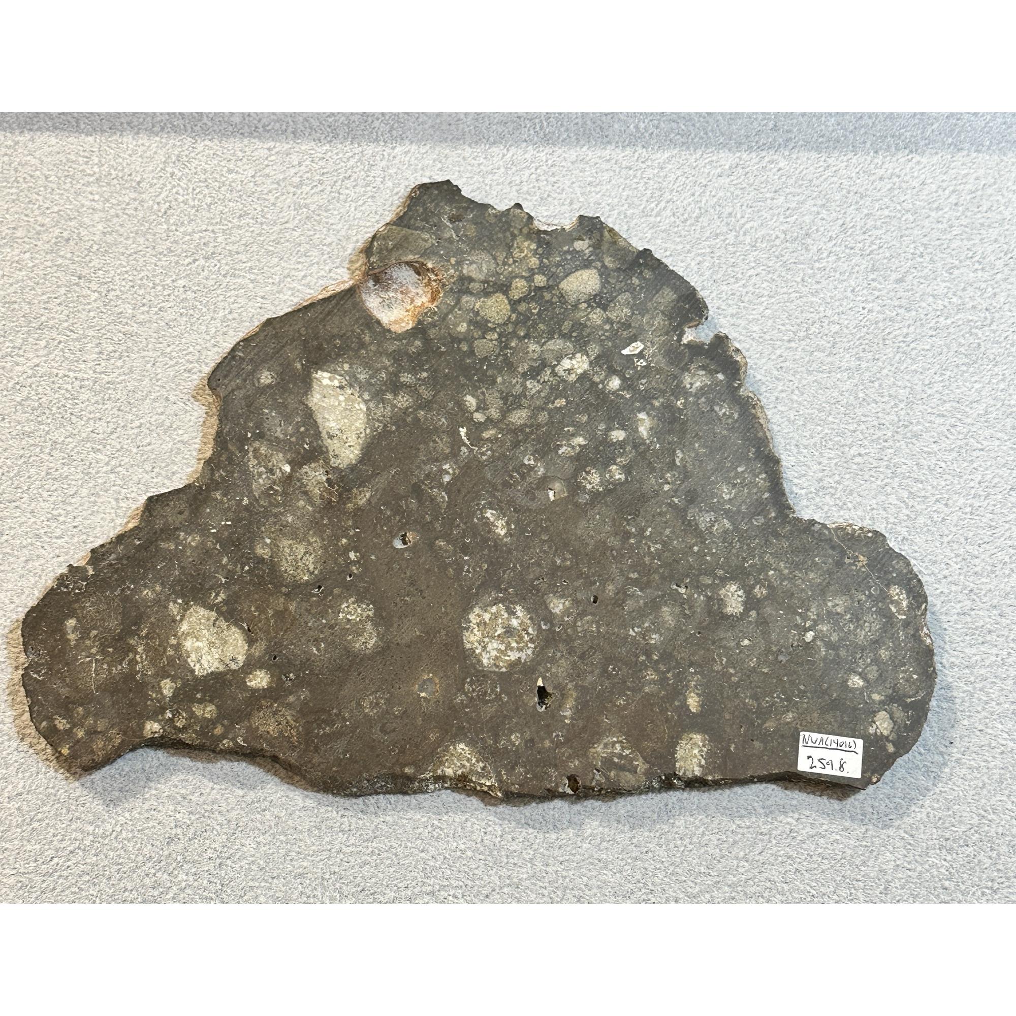 NWA 14016 meteorite slice, Eucrite Prehistoric Online