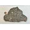 NWA 14016 meteorite slice, Eucrite Prehistoric Online