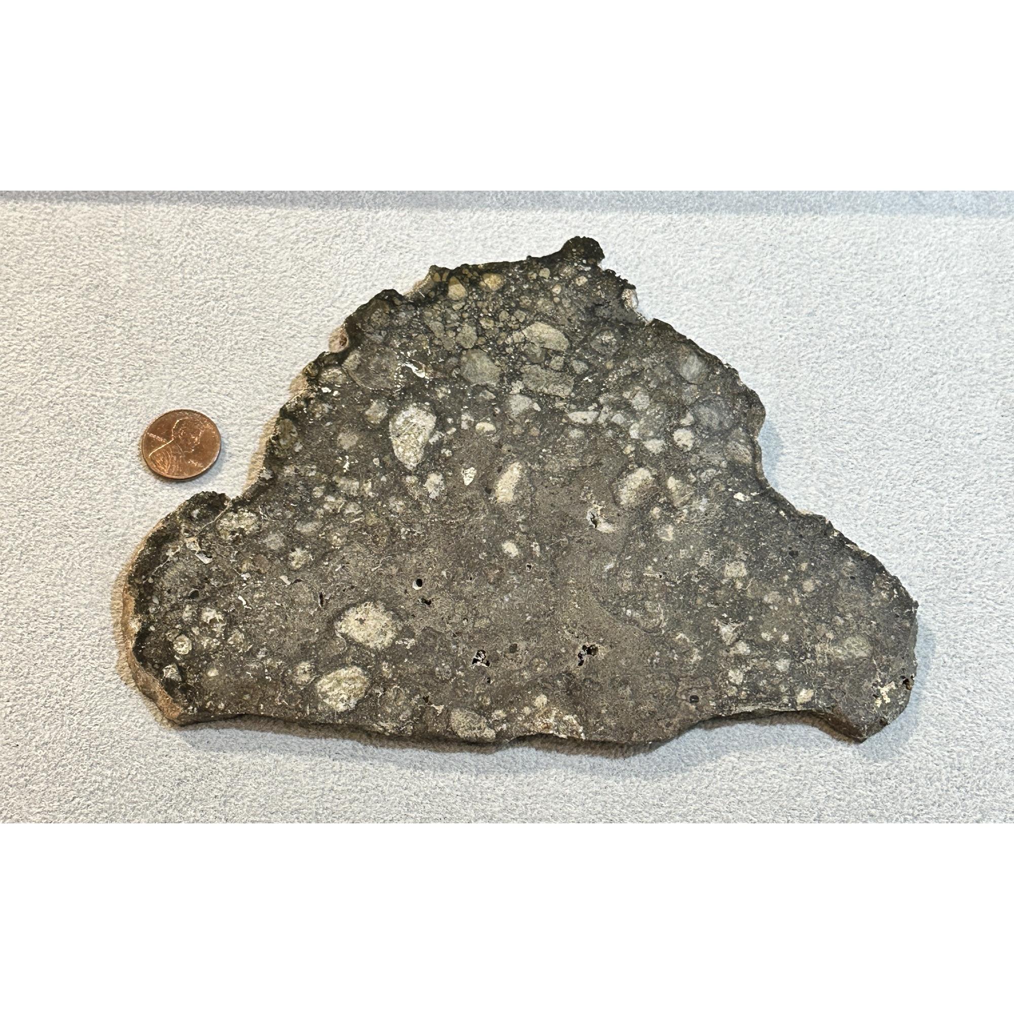 NWA 14016 meteorite slice, Eucrite Prehistoric Online