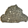 NWA 14016 meteorite slice, Eucrite Prehistoric Online