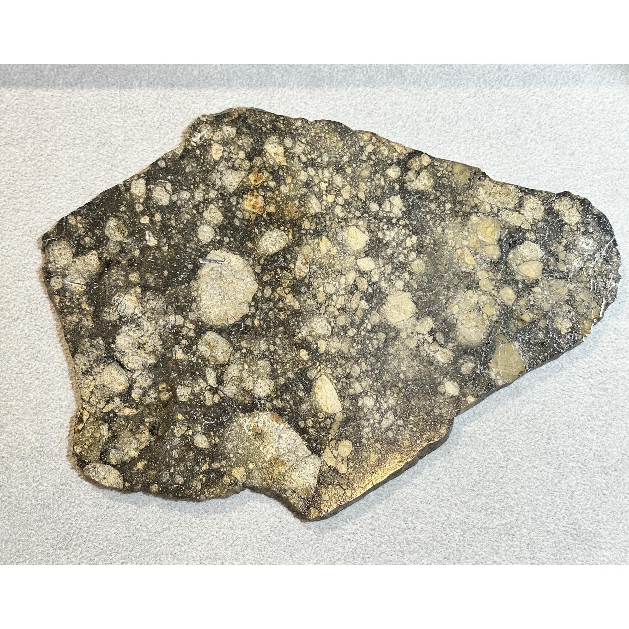 NWA 14016 meteorite slice, Eucrite Prehistoric Online