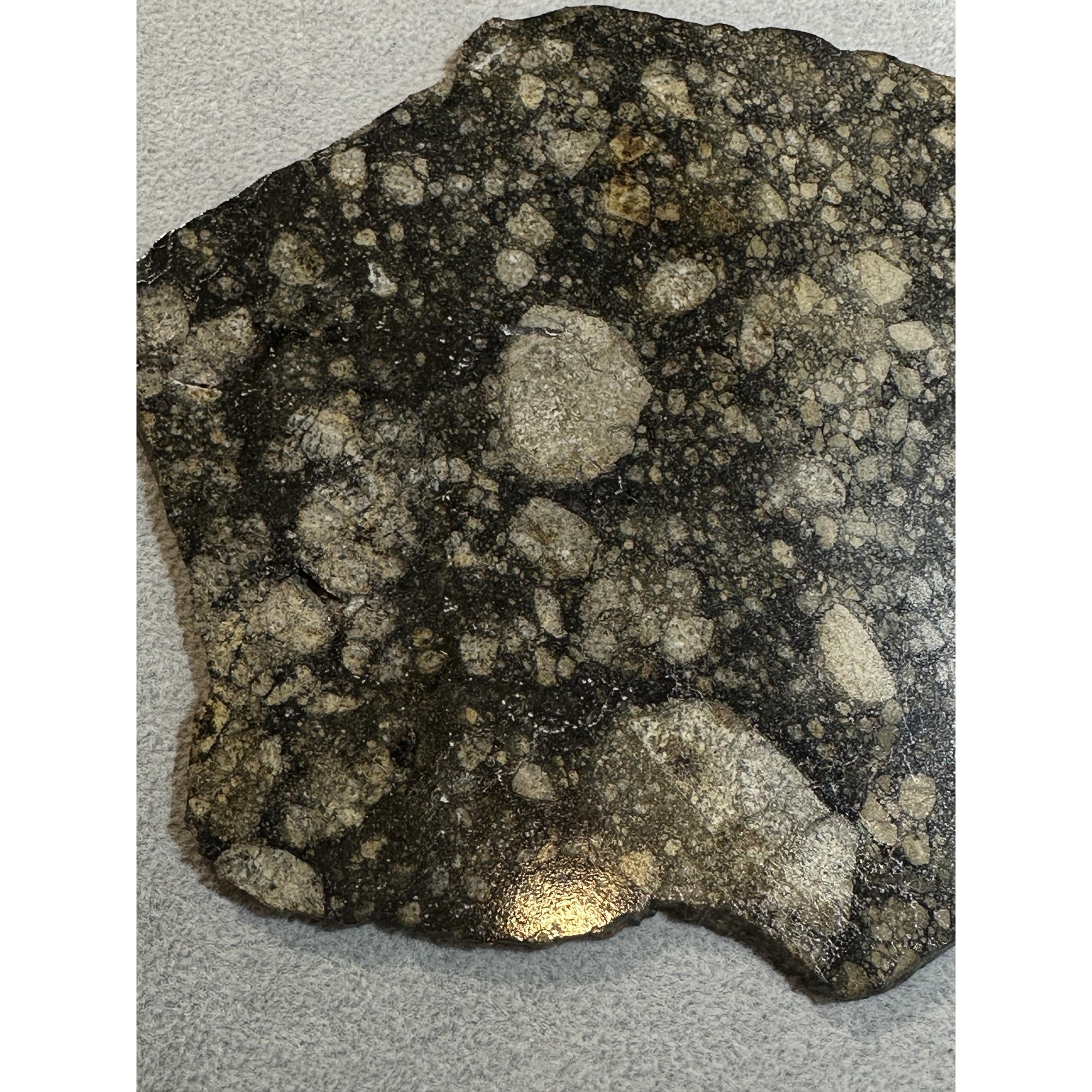 NWA 14016 meteorite slice, Eucrite Prehistoric Online