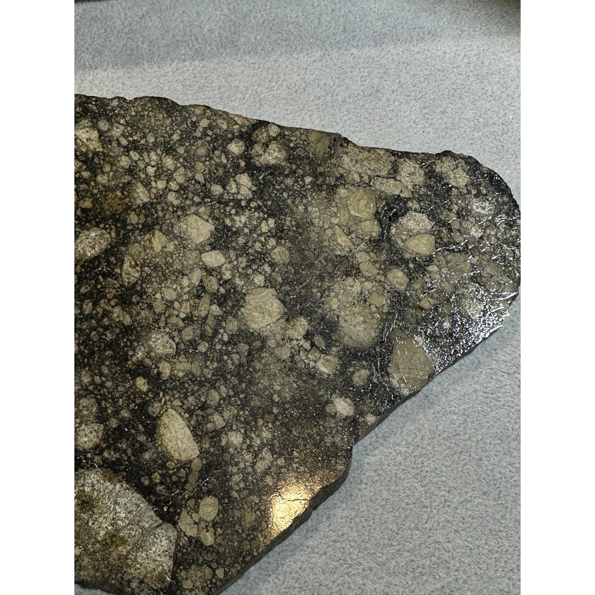 NWA 14016 meteorite slice, Eucrite Prehistoric Online