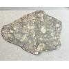 NWA 14016 meteorite slice, Eucrite Prehistoric Online