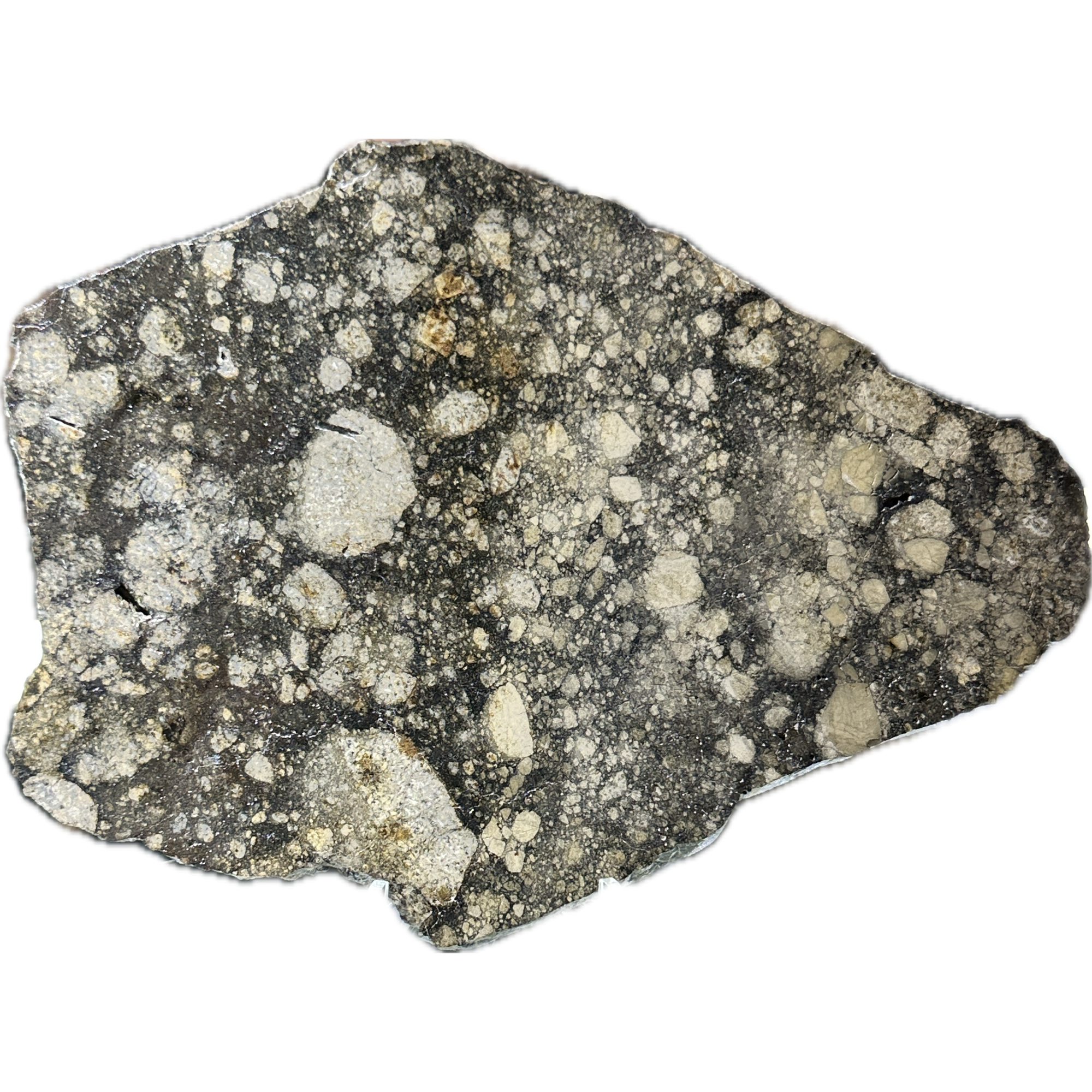 NWA 14016 meteorite slice, Eucrite Prehistoric Online