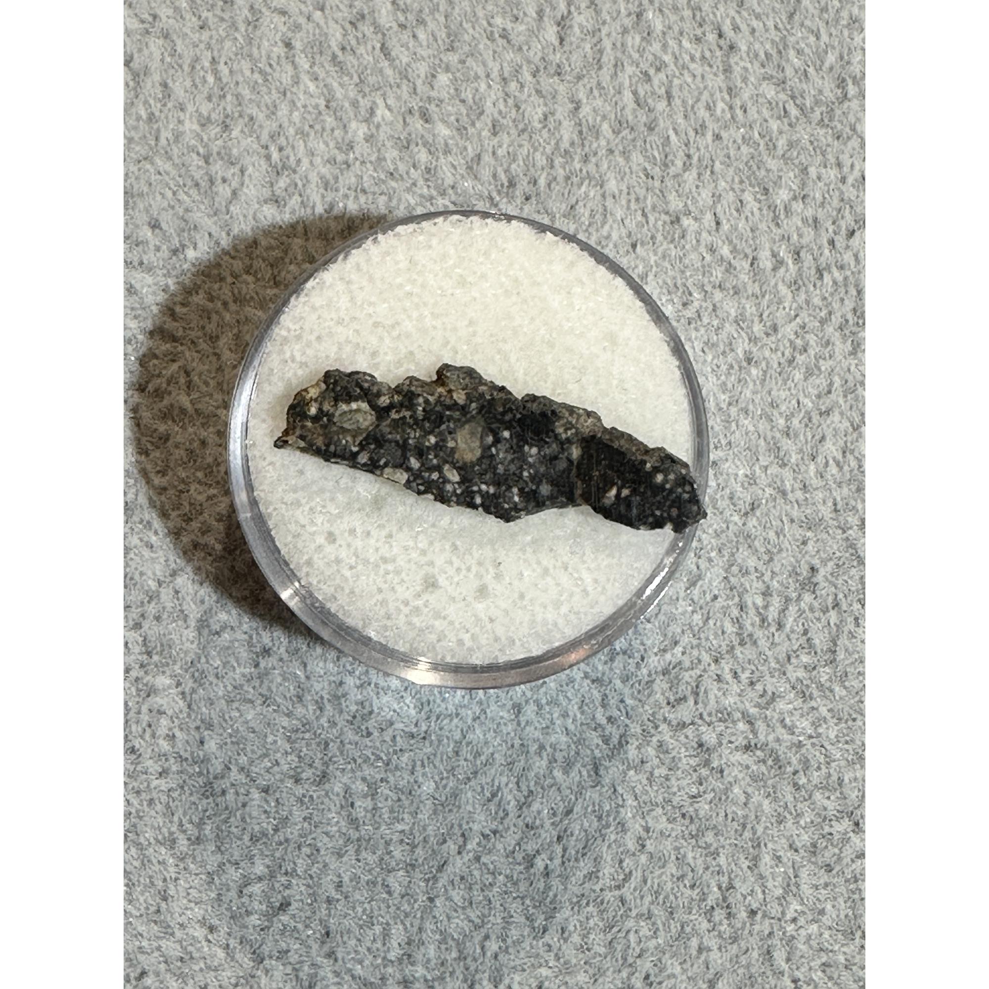 Lunar Meteorite, NWA 11428 Prehistoric Online