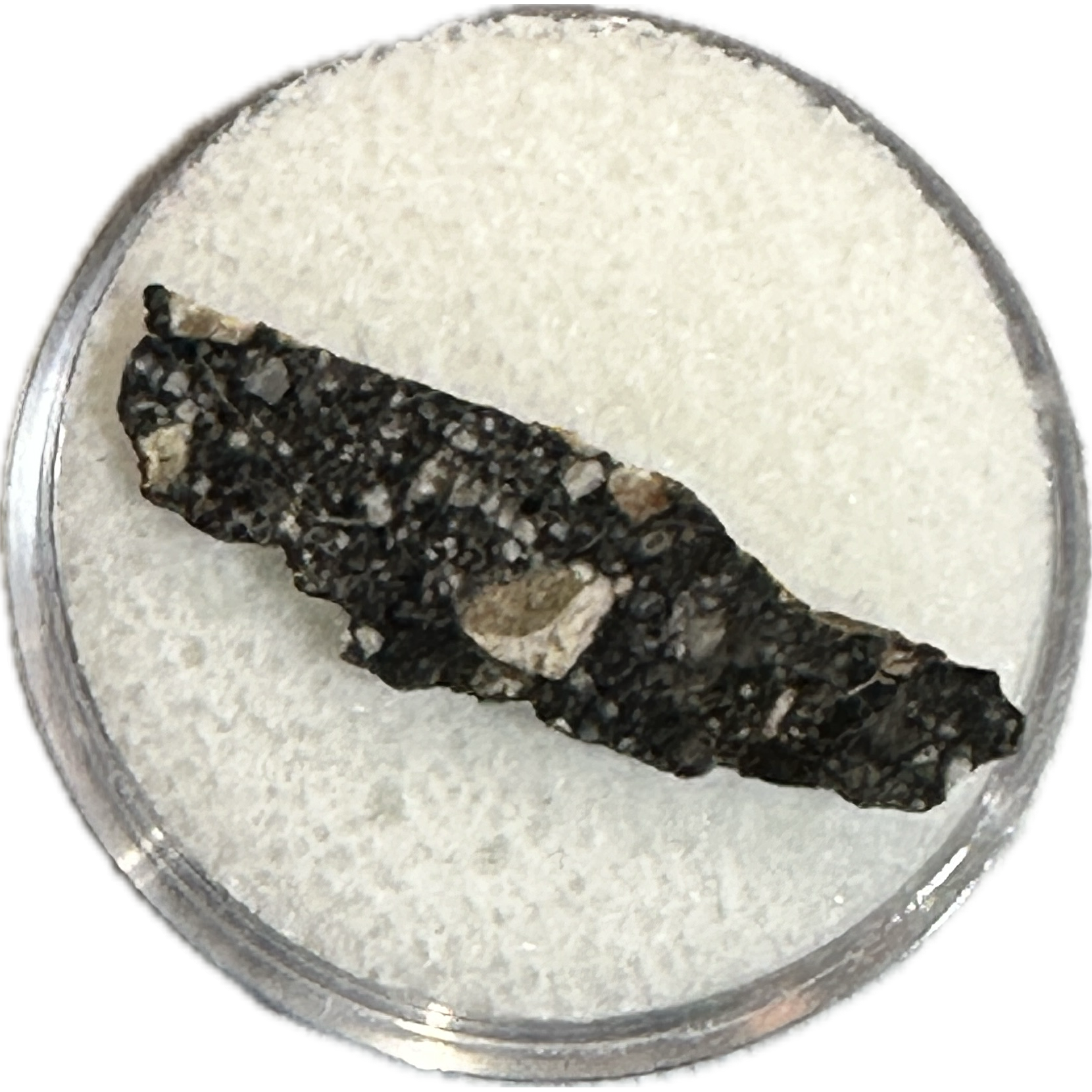 Lunar Meteorite, NWA 11428 Prehistoric Online