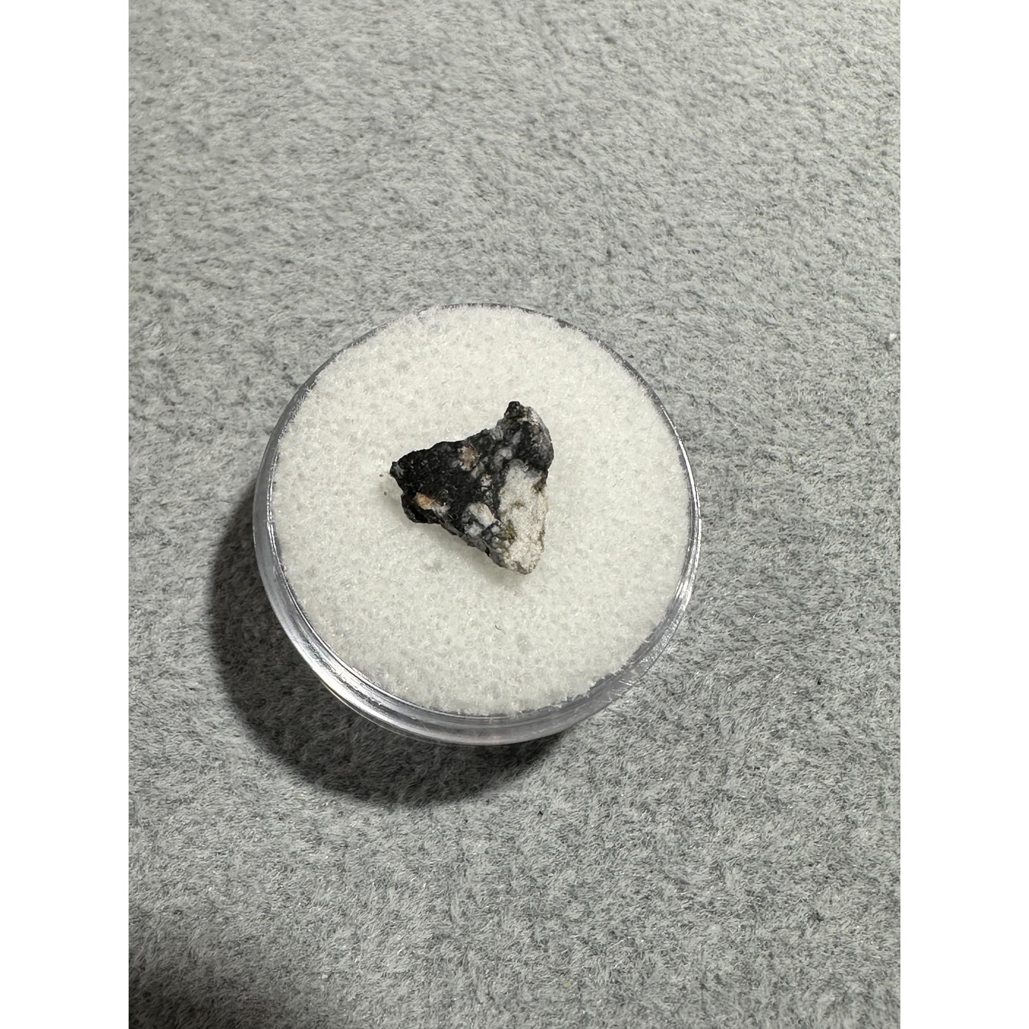 Lunar Meteorite, NWA 16106 Prehistoric Online