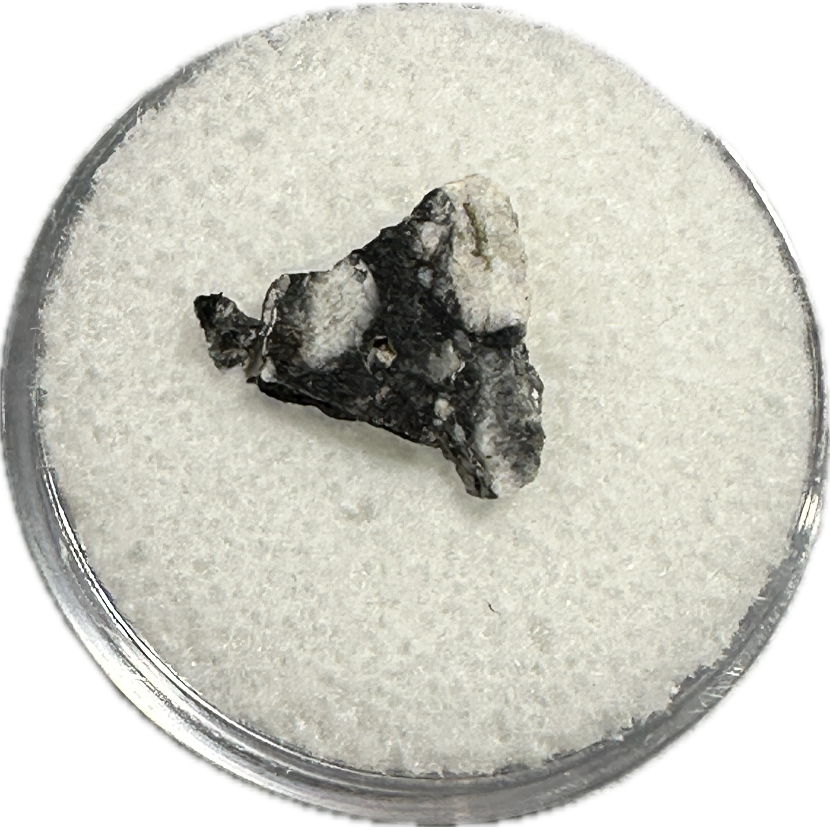 Lunar Meteorite, NWA 16106 Prehistoric Online