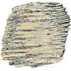 Woolly Mammoth Tooth slice, Europe Prehistoric Online