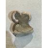 Ammonite Fossil, Volga River Prehistoric Online