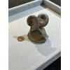 Ammonite Fossil, Volga River Prehistoric Online