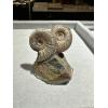 Ammonite Fossil, Volga River Prehistoric Online