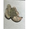 Ammonite Fossil, Volga River, Triple Prehistoric Online