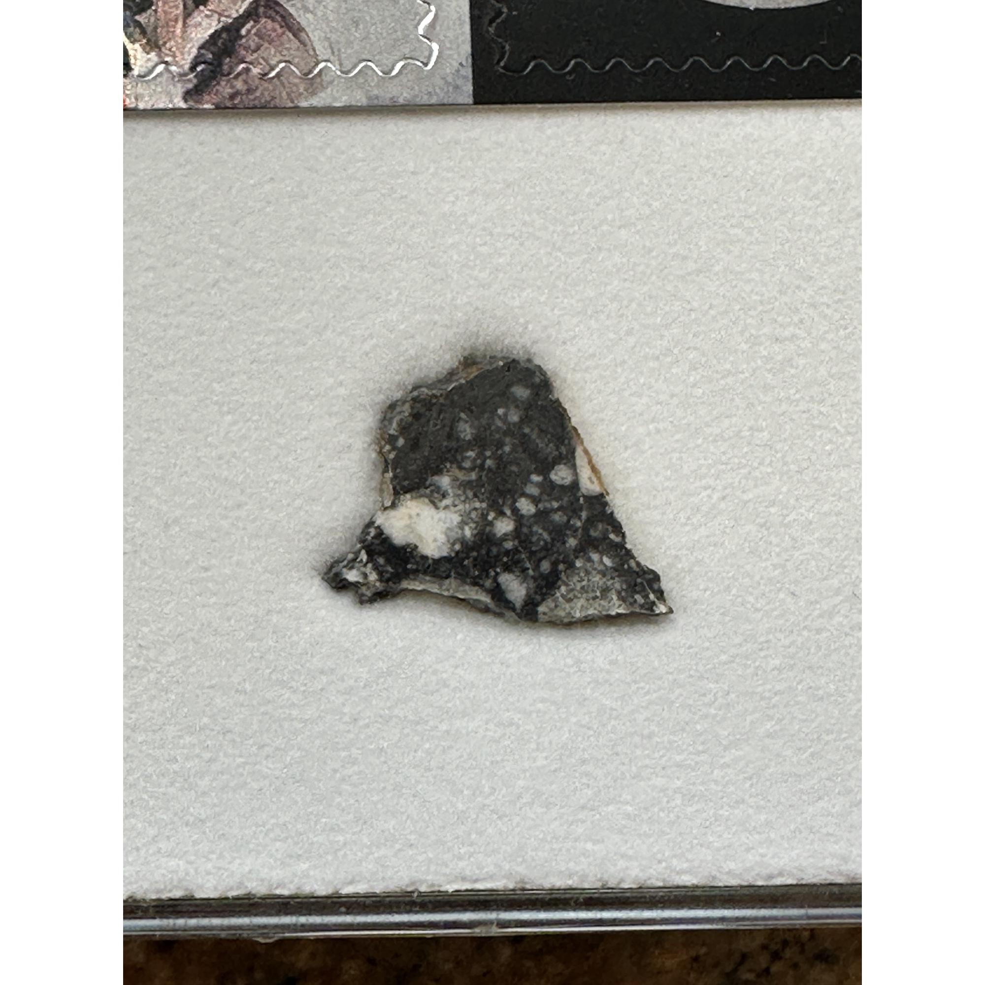 Lunar Meteorite, NWA 11428 Prehistoric Online