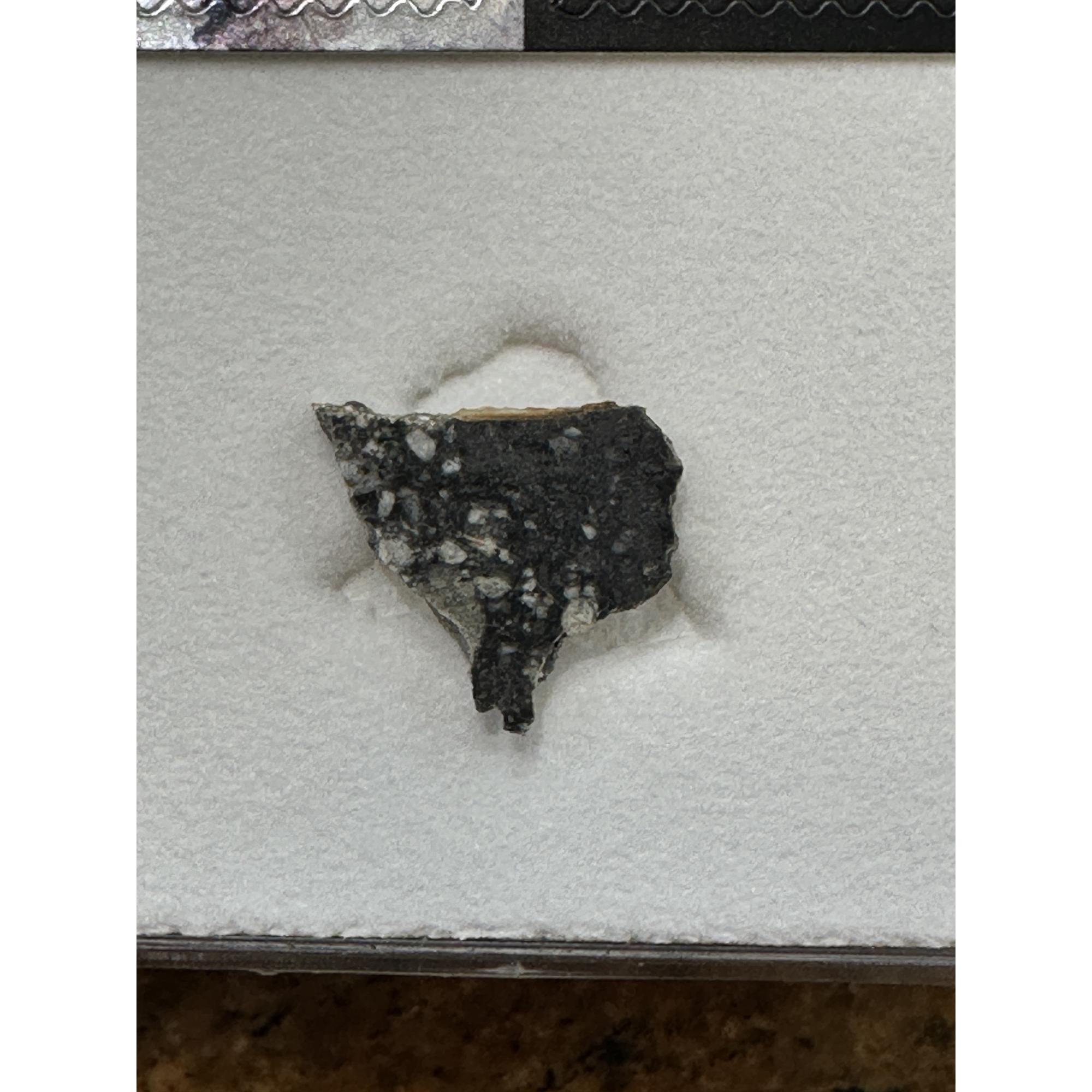 Lunar Meteorite, NWA 11428 Prehistoric Online