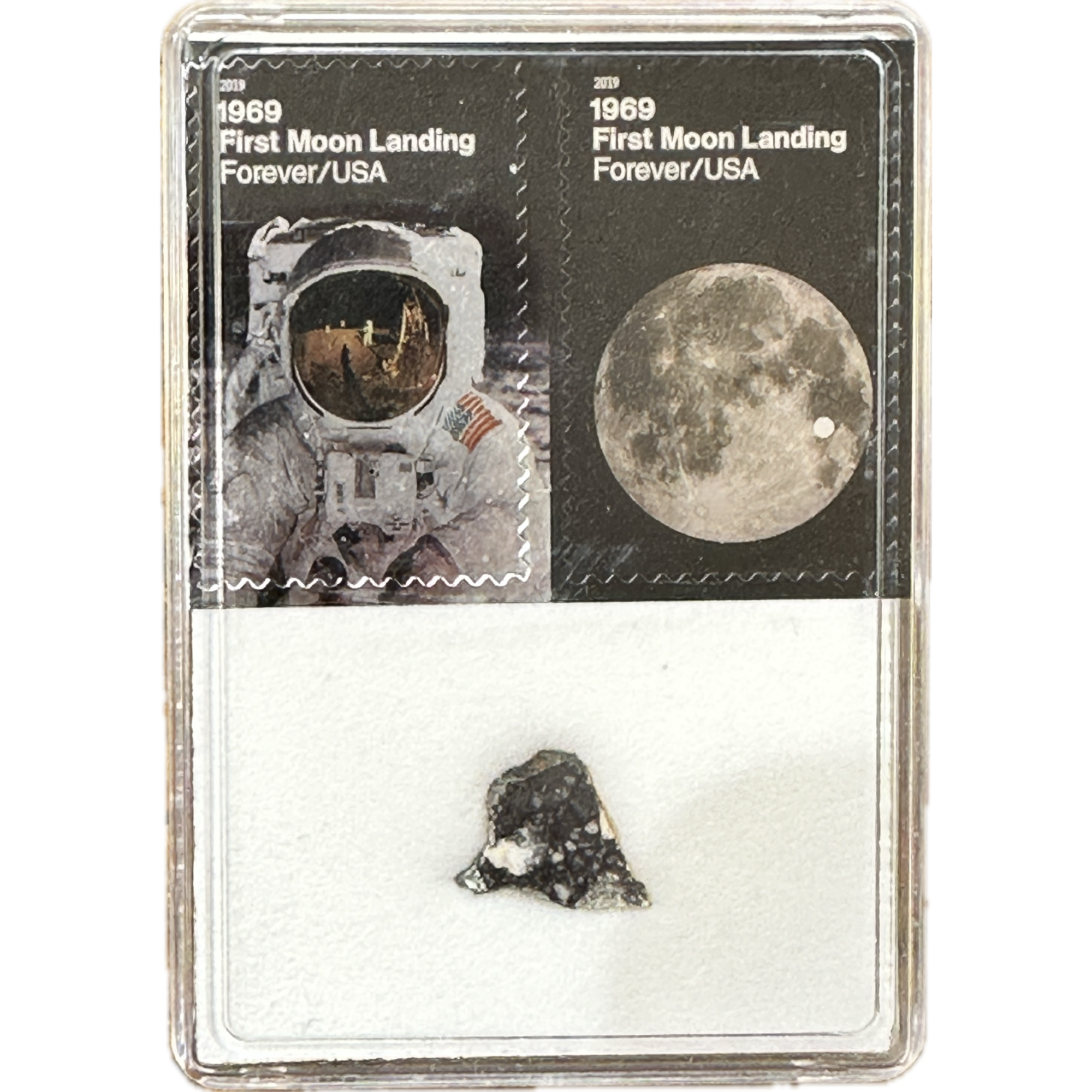 Lunar Meteorite, NWA 11428 Prehistoric Online