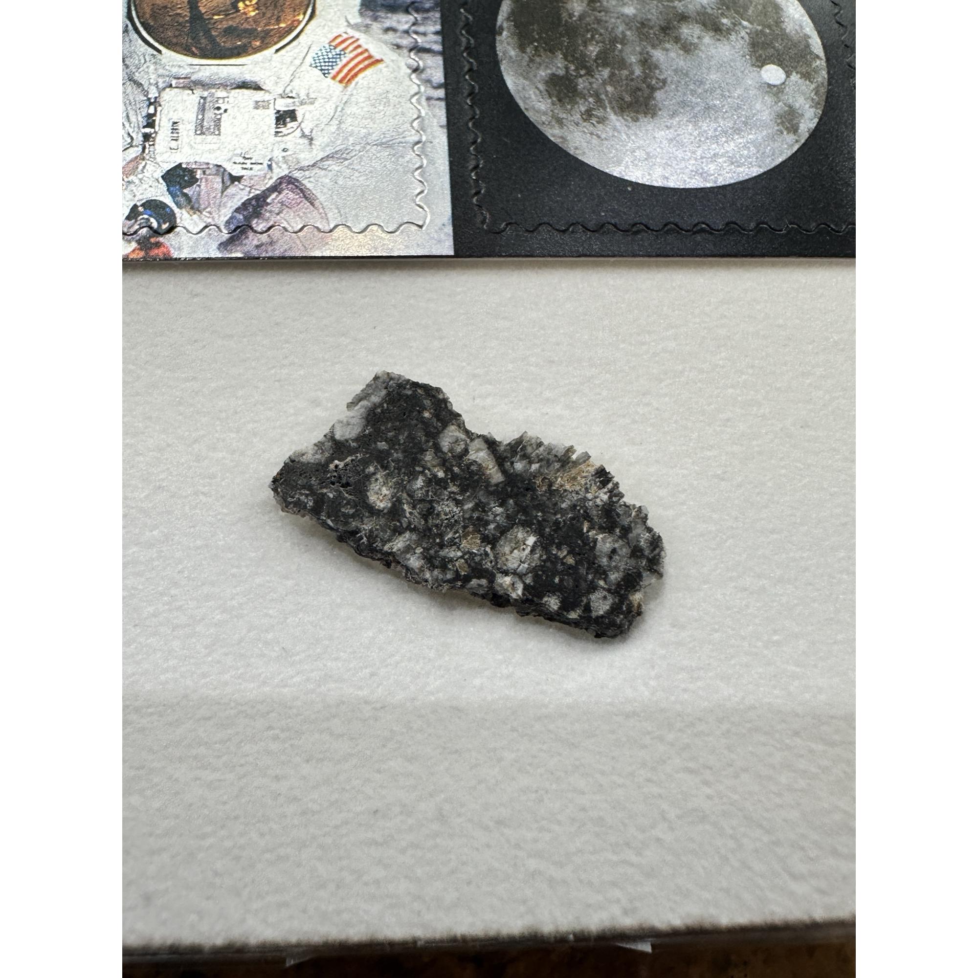 Lunar Meteorite, NWA 16106 Prehistoric Online