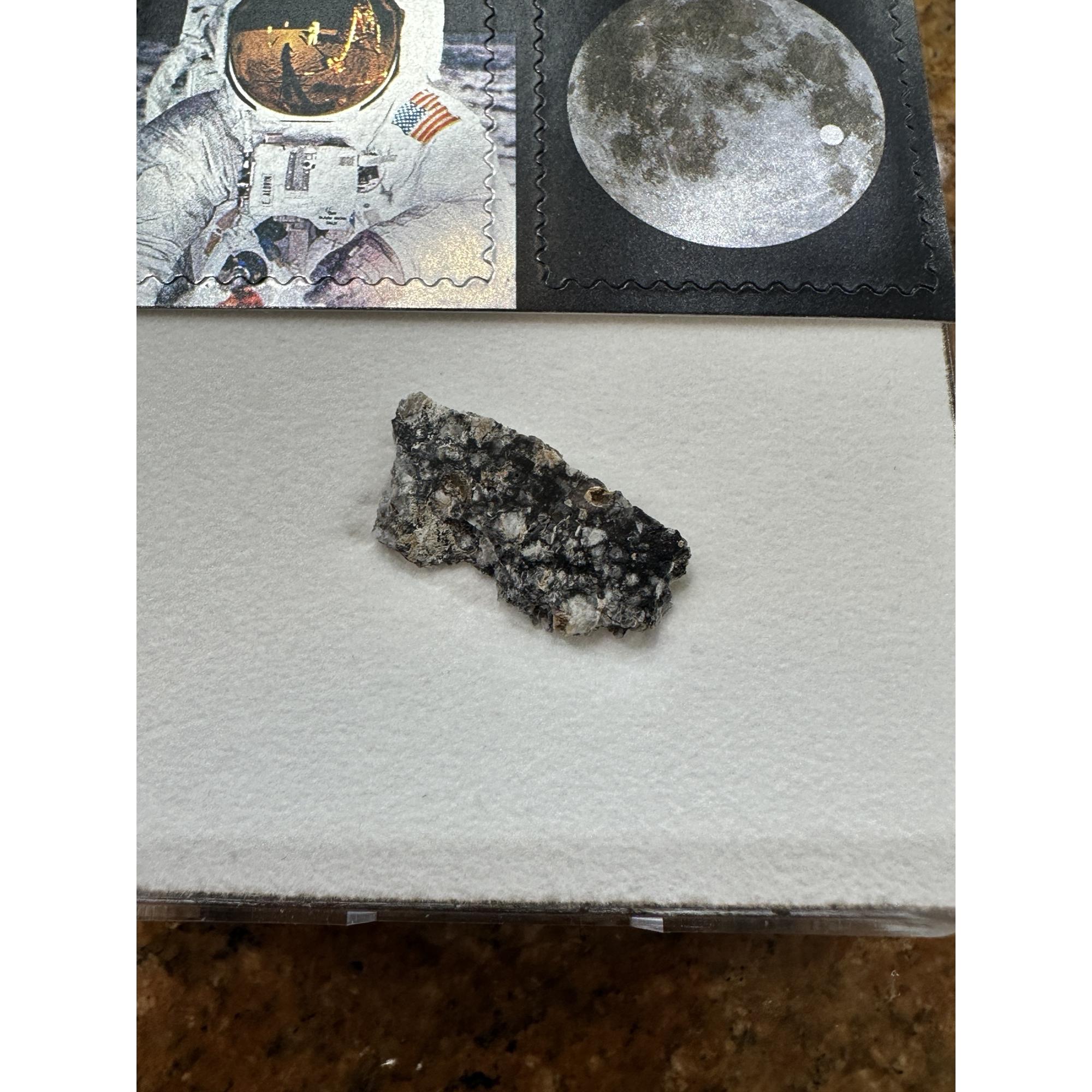 Lunar Meteorite, NWA 16106 Prehistoric Online