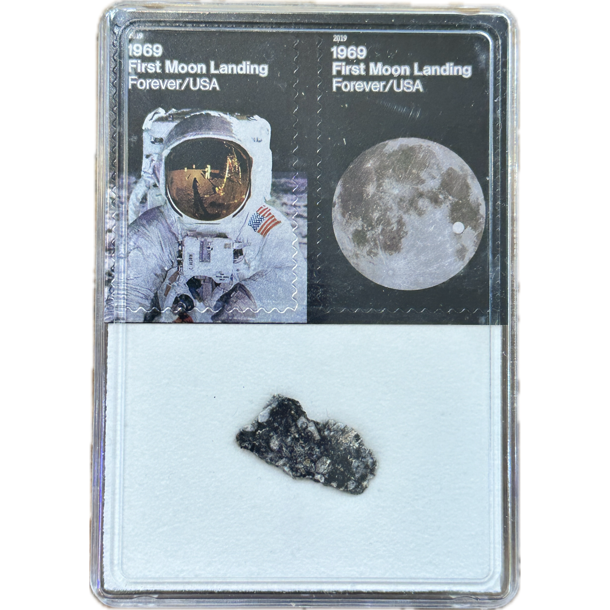 Lunar Meteorite, NWA 16106 Prehistoric Online