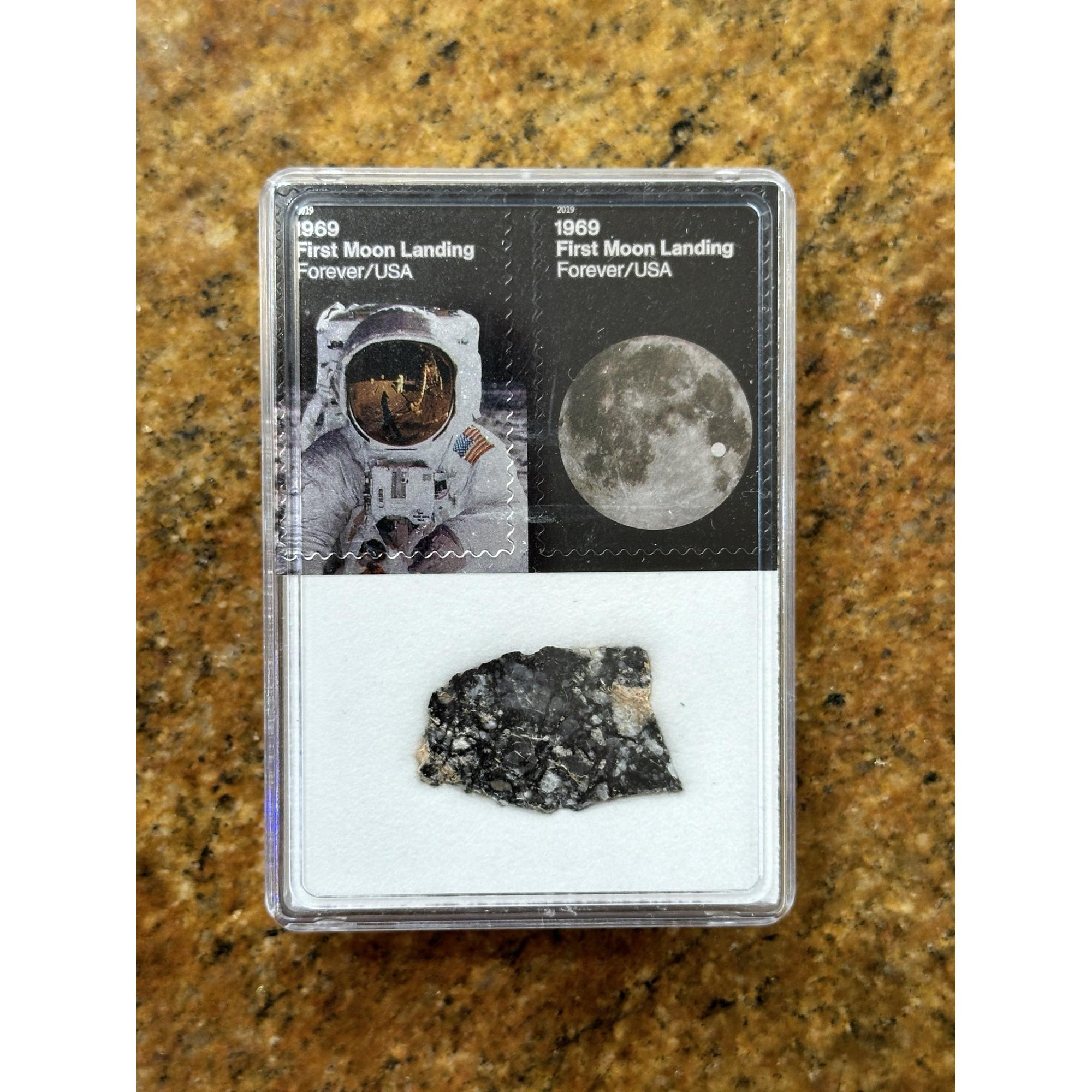 Lunar Meteorite, NWA 16106 Prehistoric Online