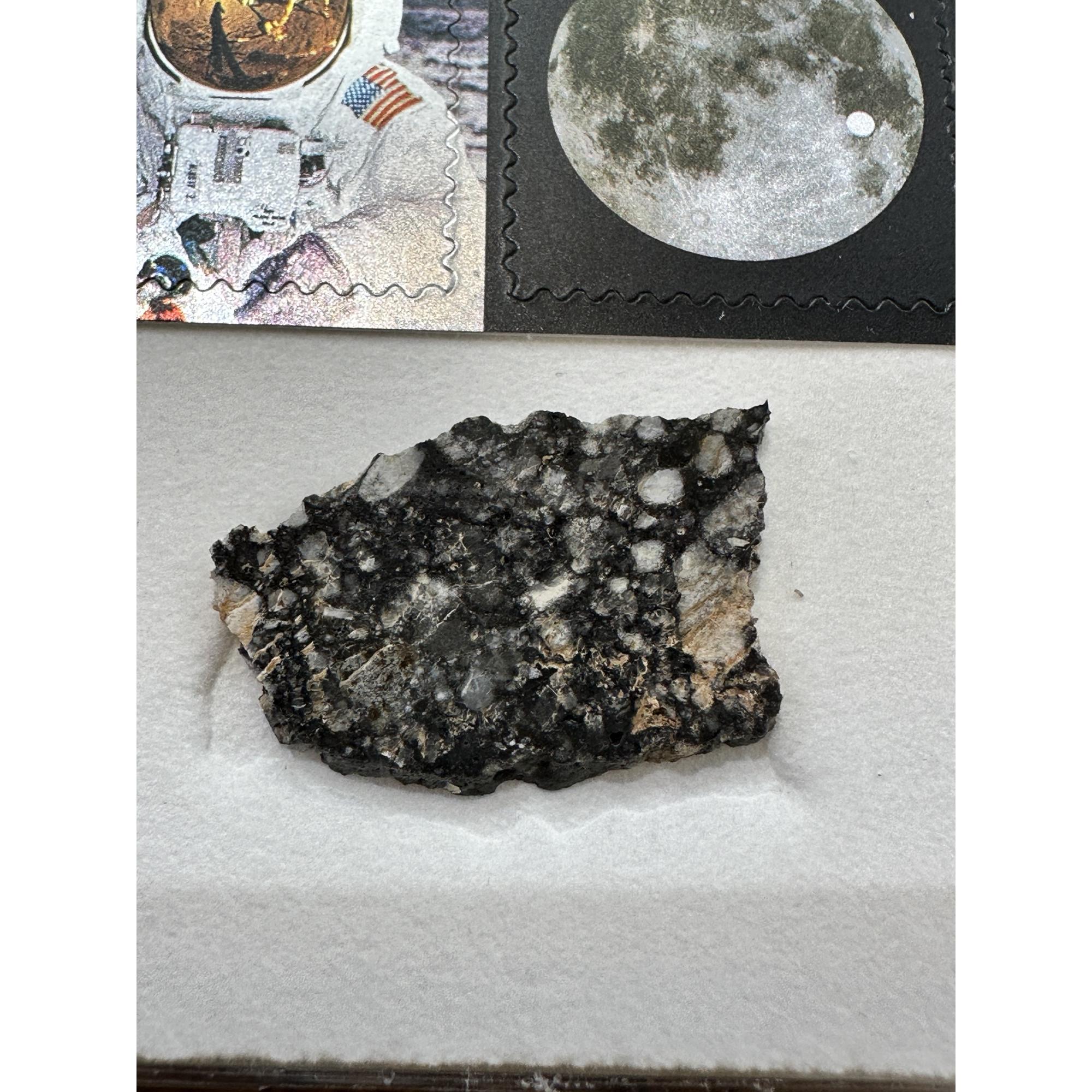 Lunar Meteorite, NWA 16106 Prehistoric Online