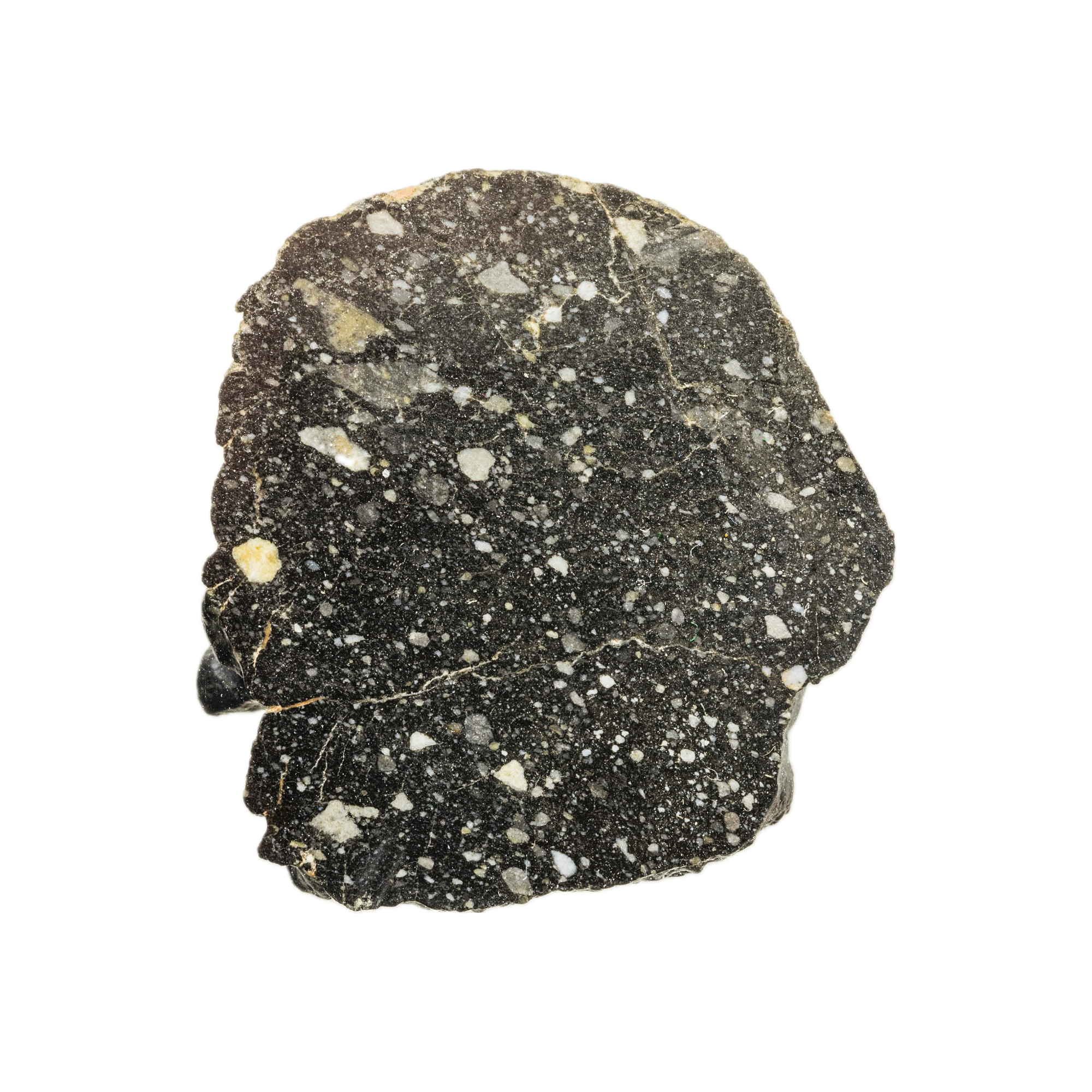 NWA (14016): A Rare Meteorite from Asteroid Vesta