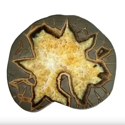 Septarian slice, 6 3/4 inch, Utah