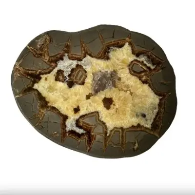 Septarian Slice, Delta Utah