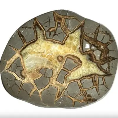 Septarian Slice, Utah, Aragonite