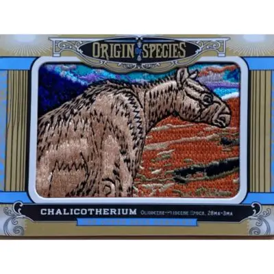 Upper deck, Miracinonyx patch