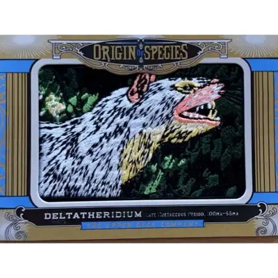 Upper deck, Hesperocyon patch