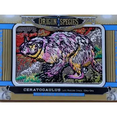Upper deck origin of species, Arctodus patch