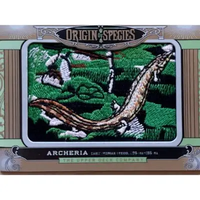 Upper deck, Megaloceros patch