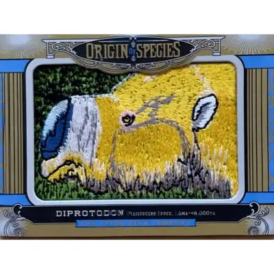 Upper deck, Melanorosaurus patch