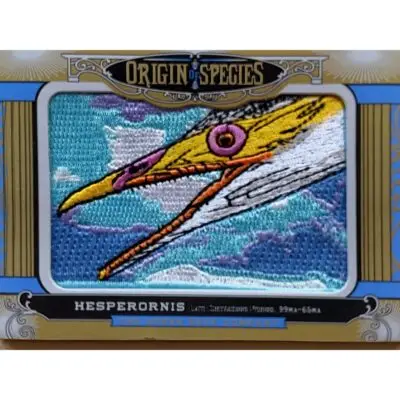 Upper deck, Samotherium patch