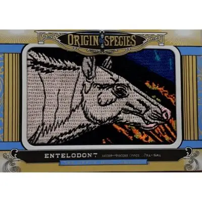 Upper deck, Megalonyx patch