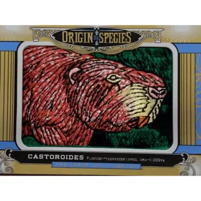Upper deck, Hyaenodon patch